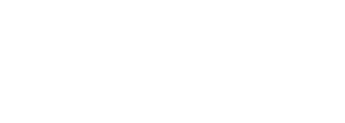 visa_logo_02