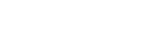 visa_logo_04