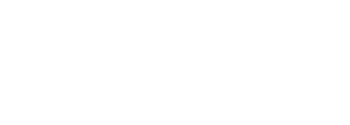 visa_logo_06