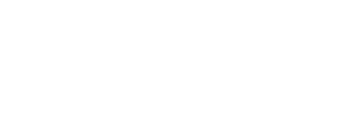 visa_logo_08